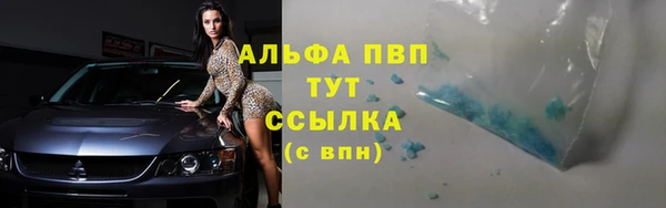 хмурый Богданович